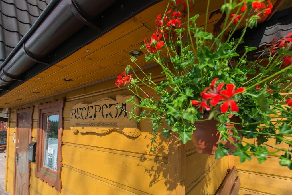 Willa Stachoniowka Zakopane Exterior photo